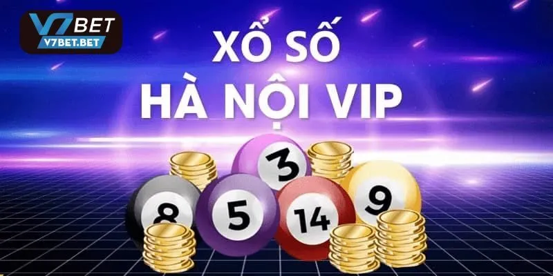 Hà Nội Vip